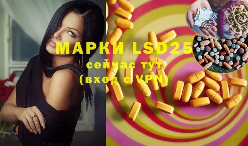 LSD-25 экстази ecstasy  купить наркотик  Ковдор 